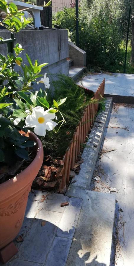 Ca Du Angiulin Hotel Casarza Ligure Buitenkant foto
