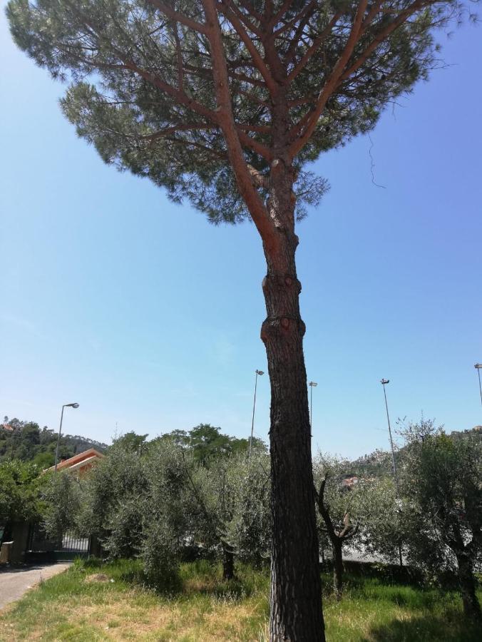 Ca Du Angiulin Hotel Casarza Ligure Buitenkant foto